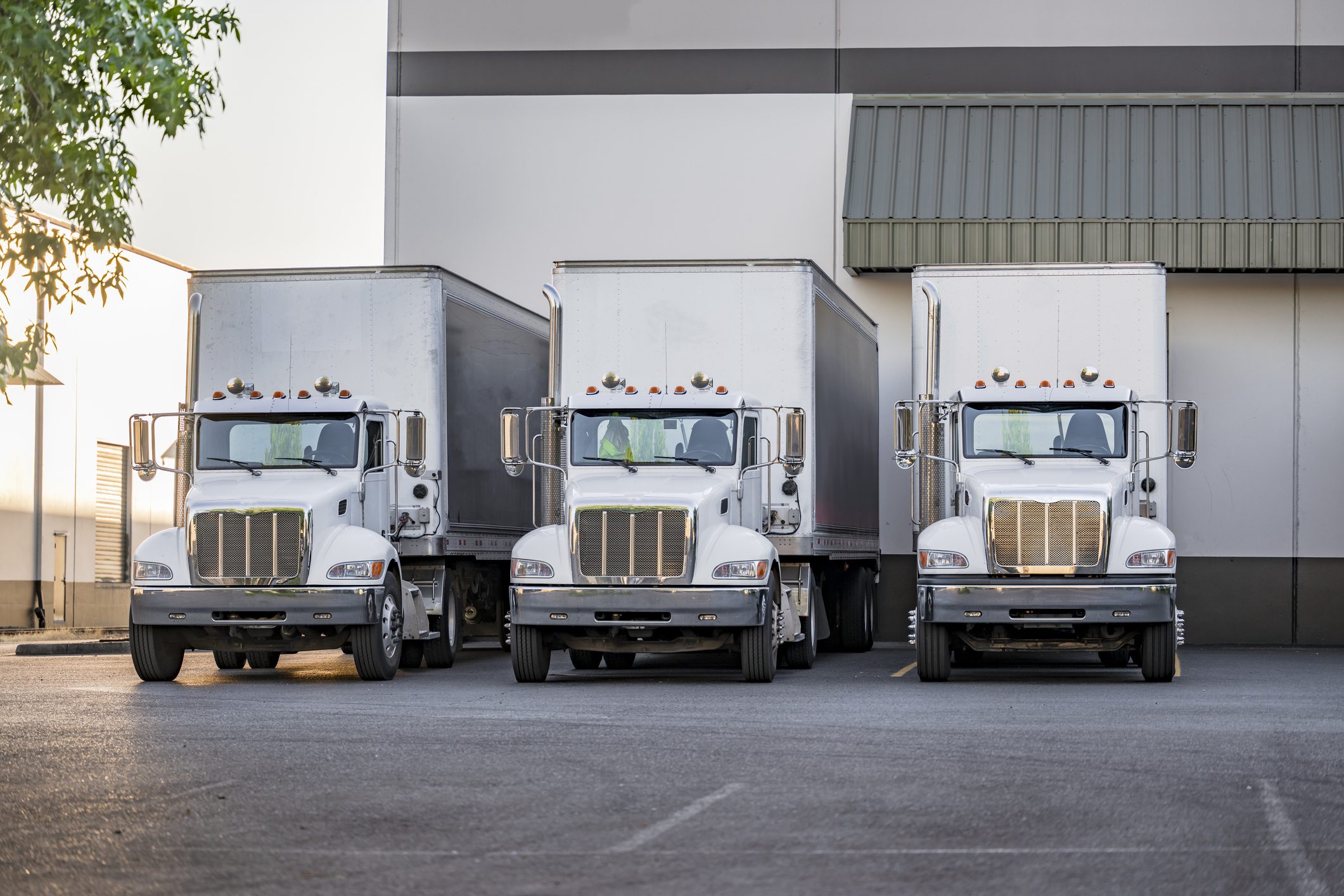 Local haul middle duty professional white big rigs semi trucks tractors with box trailers waiting for the next load standing in row on the warehouse industrial parking lot with green trees